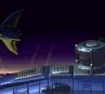 Background 165