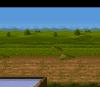 Background 011