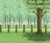 Background 031